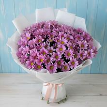 Букет цветов из:  Хризантемы #REPLACE_PRED# Заречный