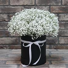 Цветочная композиция из Гипсофила в шляпной коробке в Заречный